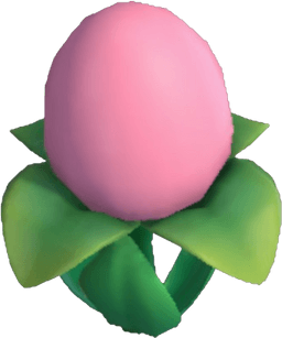 Island Adventure Pink Eggwort