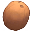 Island Adventure Coconut